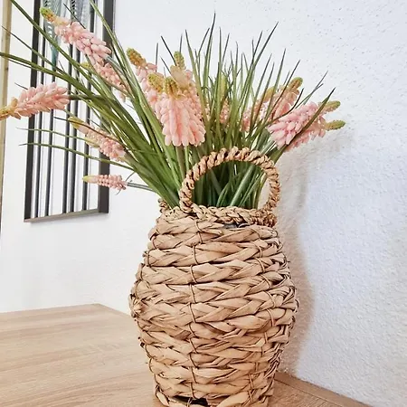 Le Stan - Centre - Parking - Exterieur - Fibre - Relax Appartement Colmar