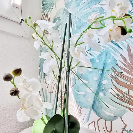 Le Stan - Centre - Parking - Extérieur - Fibre - Relax Colmar