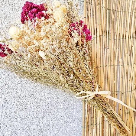 Le Stan - Centre - Parking - Exterieur - Fibre - Relax 아파트 콜마