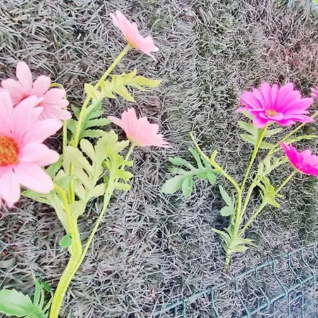 Le Stan - Centre - Parking - Exterieur - Fibre - Relax 아파트 콜마