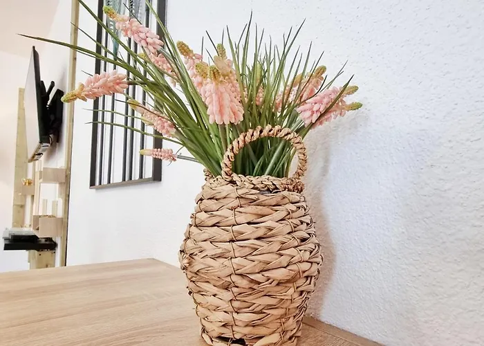 Le Stan - Centre - Parking - Exterieur - Fibre - Relax Apartment Colmar