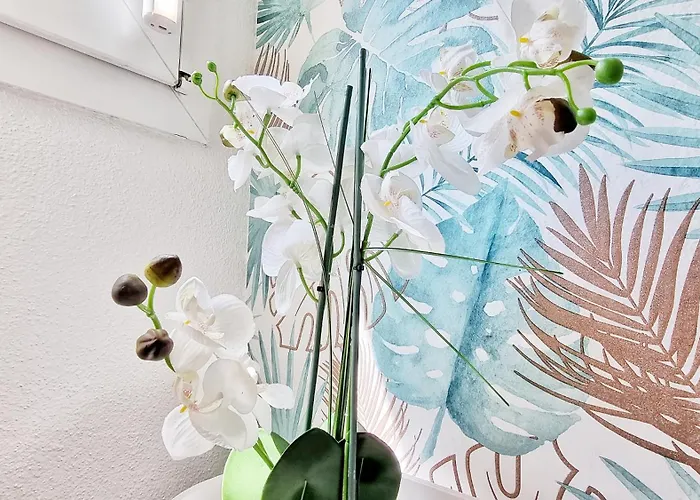 Le Stan - Centre - Parking - Extérieur - Fibre - Relax Colmar