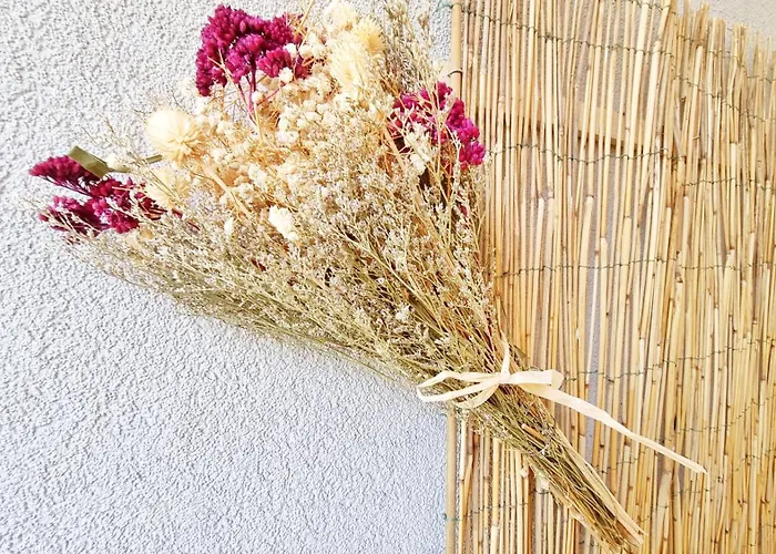 Le Stan - Centre - Parking - Extérieur - Fibre - Relax Apartamento Colmar