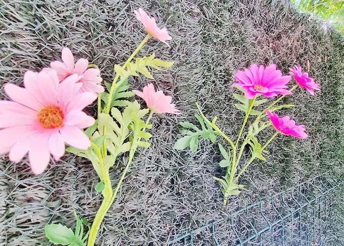 Le Stan - Centre - Parking - Extérieur - Fibre - Relax Appartamento Colmar